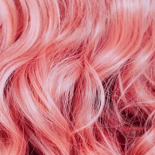 VIP Bubbly Subscript w. Extensions at Dry+Bubbly in Myrtle Beach, SC